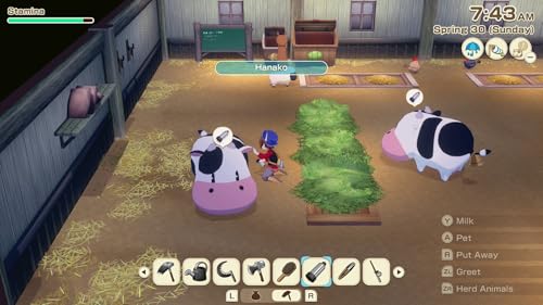 Story of Seasons Grand Bazaar Standard Edition Nintendo Switch 2