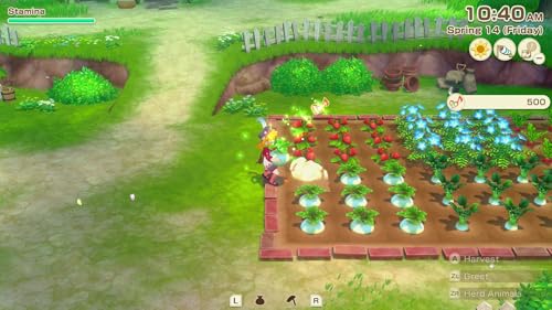Story of Seasons Grand Bazaar Standard Edition Nintendo Switch 2