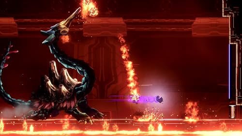 Shadow Labyrinth Nintendo Switch Secret Edition