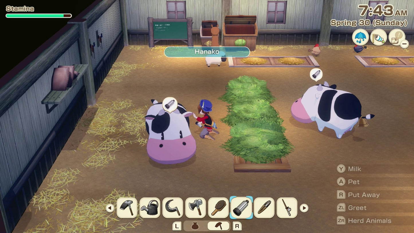 Story of Seasons Grand Bazaar Premium Edition Nintendo Switch 2